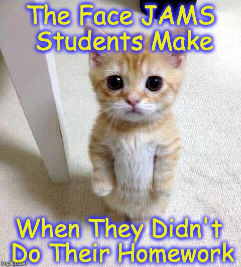 aasthapatelmemeoff | The Face JAMS Students Make; When They Didn't Do Their Homework | image tagged in memes,jams | made w/ Imgflip meme maker