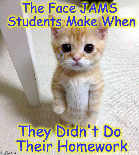 Cute Cat | The Face JAMS Students Make When; They Didn't Do Their Homework | image tagged in memes,cute cat | made w/ Imgflip meme maker