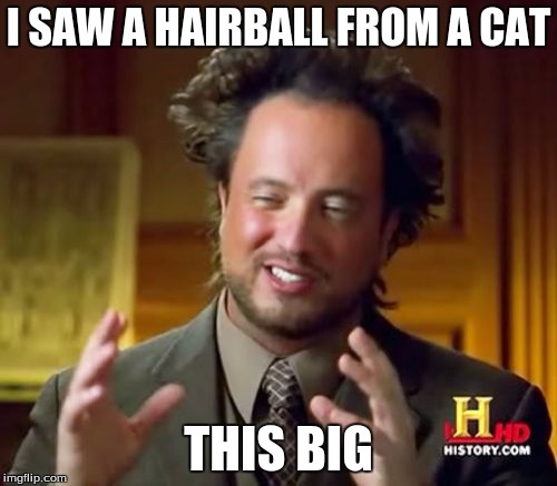 Ancient Aliens | I SAW A HAIRBALL FROM A CAT; THIS BIG | image tagged in memes,ancient aliens | made w/ Imgflip meme maker