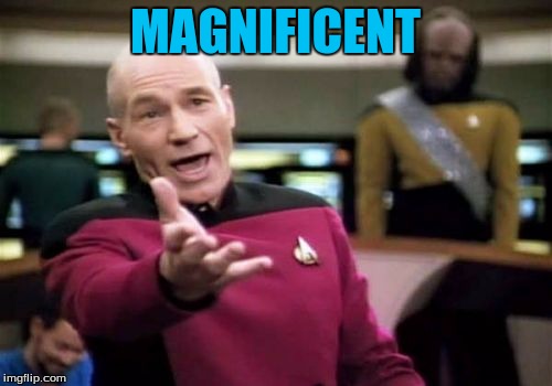 Picard Wtf Meme | MAGNIFICENT | image tagged in memes,picard wtf | made w/ Imgflip meme maker