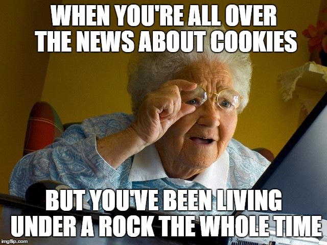 Grandma Finds The Internet Meme | WHEN YOU'RE ALL OVER THE NEWS ABOUT COOKIES; BUT YOU'VE BEEN LIVING UNDER A ROCK THE WHOLE TIME | image tagged in memes,grandma finds the internet | made w/ Imgflip meme maker