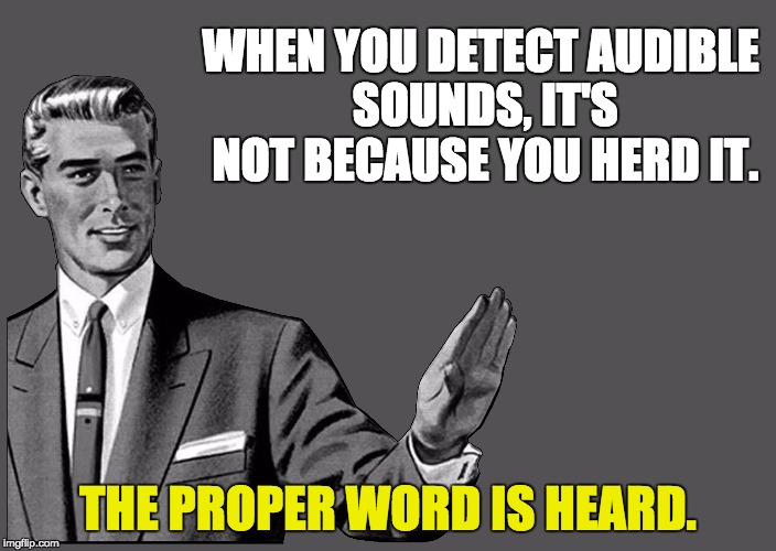 Just one of a multitude of errors seen on some high ranking memes recently. | WHEN YOU DETECT AUDIBLE SOUNDS, IT'S NOT BECAUSE YOU HERD IT. THE PROPER WORD IS HEARD. | image tagged in grammar guy postcard | made w/ Imgflip meme maker