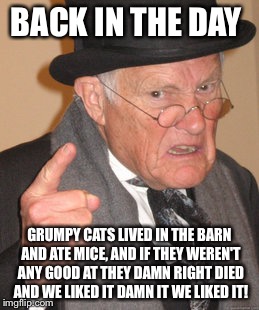 Back In My Day Meme | BACK IN THE DAY GRUMPY CATS LIVED IN THE BARN AND ATE MICE, AND IF THEY WEREN'T ANY GOOD AT THEY DAMN RIGHT DIED AND WE LIKED IT DAMN IT WE  | image tagged in memes,back in my day | made w/ Imgflip meme maker