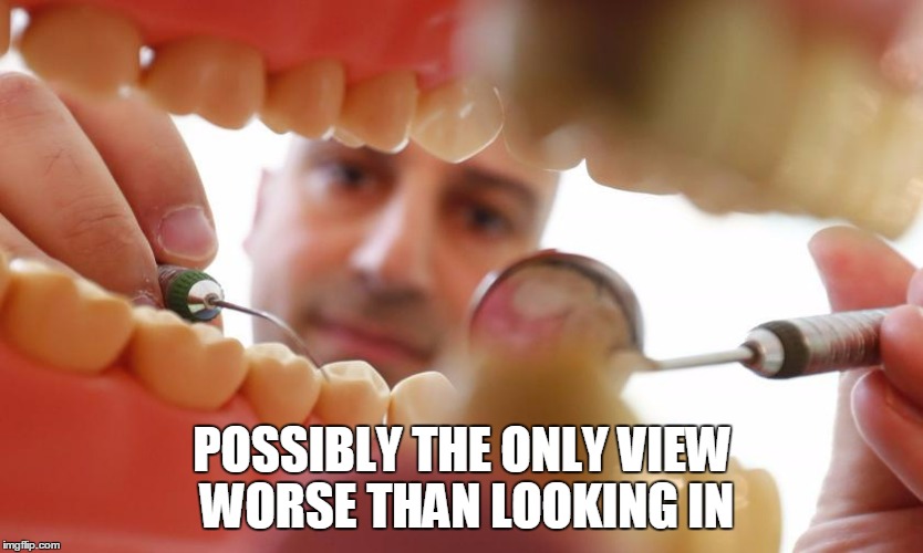 POSSIBLY THE ONLY VIEW WORSE THAN LOOKING IN | made w/ Imgflip meme maker