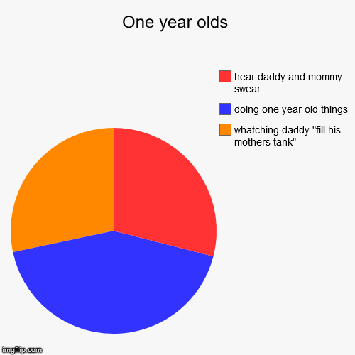 image tagged in funny,pie charts | made w/ Imgflip chart maker