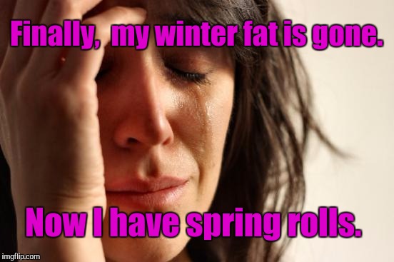 First World Problems | Finally,  my winter fat is gone. Now I have spring rolls. | image tagged in memes,first world problems | made w/ Imgflip meme maker