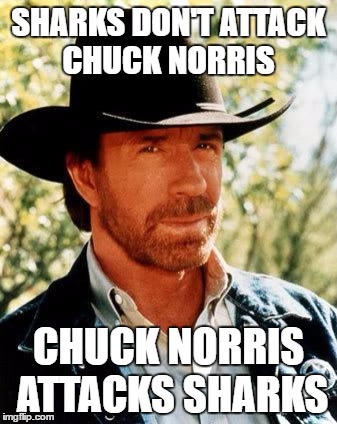 Chuck Norris Meme | SHARKS DON'T ATTACK CHUCK NORRIS; CHUCK NORRIS ATTACKS SHARKS | image tagged in memes,chuck norris | made w/ Imgflip meme maker