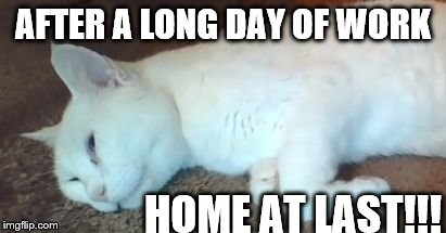AFTER A LONG DAY OF WORK; HOME AT LAST!!! | image tagged in after a long day of work | made w/ Imgflip meme maker
