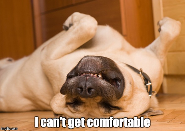 Sleeping dog | I can't get comfortable | image tagged in sleeping dog | made w/ Imgflip meme maker