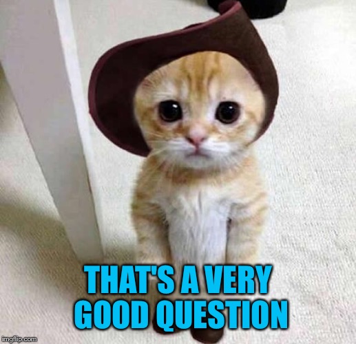 THAT'S A VERY GOOD QUESTION | made w/ Imgflip meme maker