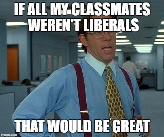 That Would Be Great Meme | IF ALL MY CLASSMATES WEREN'T LIBERALS THAT WOULD BE GREAT | image tagged in memes,that would be great | made w/ Imgflip meme maker