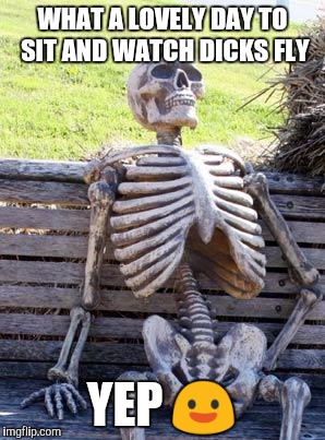 Waiting Skeleton | WHAT A LOVELY DAY TO SIT AND WATCH DICKS FLY; YEP 😃 | image tagged in memes,waiting skeleton | made w/ Imgflip meme maker
