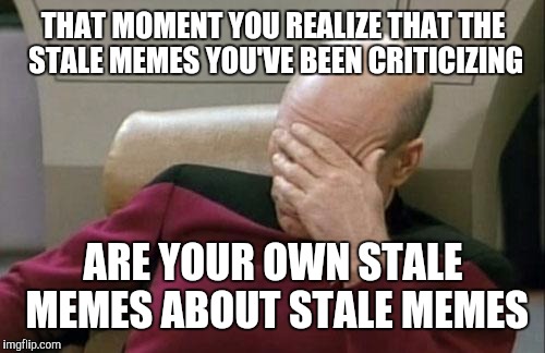 Captain Picard Facepalm Meme | THAT MOMENT YOU REALIZE THAT THE STALE MEMES YOU'VE BEEN CRITICIZING ARE YOUR OWN STALE MEMES ABOUT STALE MEMES | image tagged in memes,captain picard facepalm | made w/ Imgflip meme maker