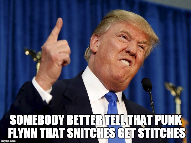 Snitches get Stitches  | SOMEBODY BETTER TELL THAT PUNK FLYNN THAT SNITCHES GET STITCHES | image tagged in donald trump,whitehouse | made w/ Imgflip meme maker