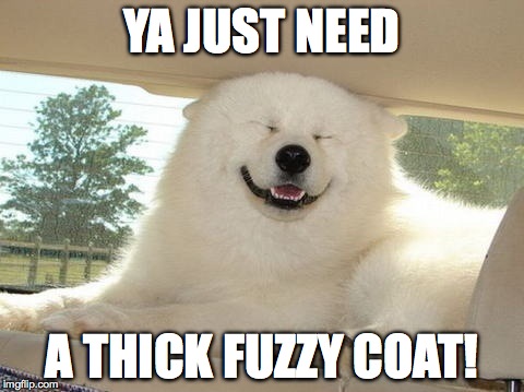 YA JUST NEED A THICK FUZZY COAT! | made w/ Imgflip meme maker