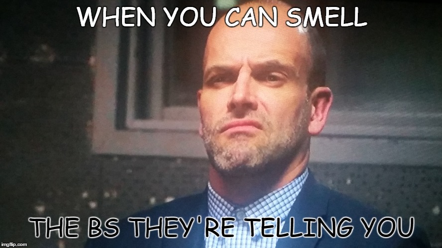 BS Sherlock | WHEN YOU CAN SMELL; THE BS THEY'RE TELLING YOU | image tagged in elementary | made w/ Imgflip meme maker