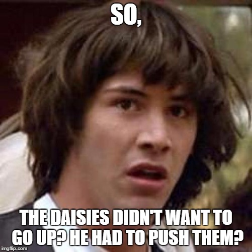 SO, THE DAISIES DIDN'T WANT TO GO UP? HE HAD TO PUSH THEM? | image tagged in memes,conspiracy keanu | made w/ Imgflip meme maker