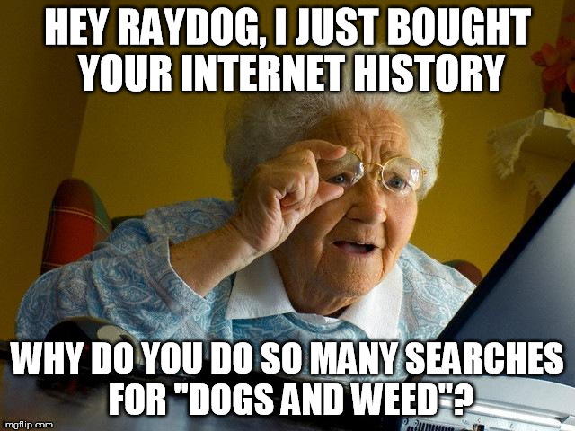 Grandma Finds The Internet Meme | HEY RAYDOG, I JUST BOUGHT YOUR INTERNET HISTORY WHY DO YOU DO SO MANY SEARCHES FOR "DOGS AND WEED"? | image tagged in memes,grandma finds the internet | made w/ Imgflip meme maker