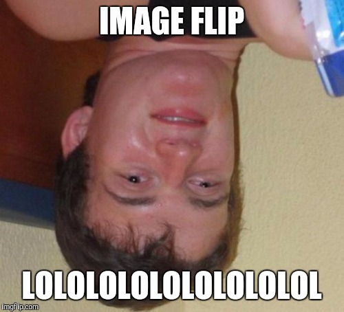 10 Guy | IMAGE FLIP; LOLOLOLOLOLOLOLOLOL | image tagged in memes,10 guy | made w/ Imgflip meme maker