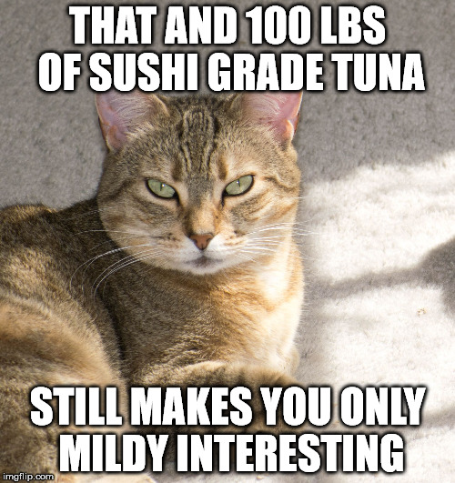 THAT AND 100 LBS OF SUSHI GRADE TUNA; STILL MAKES YOU ONLY MILDY INTERESTING | image tagged in sour cat | made w/ Imgflip meme maker