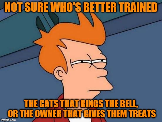 Futurama Fry Meme | NOT SURE WHO'S BETTER TRAINED THE CATS THAT RINGS THE BELL, OR THE OWNER THAT GIVES THEM TREATS | image tagged in memes,futurama fry | made w/ Imgflip meme maker