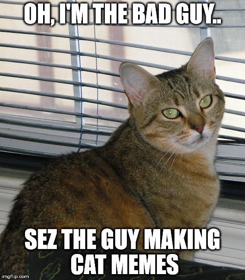 Sour Cat | OH, I'M THE BAD GUY.. SEZ THE GUY MAKING CAT MEMES | image tagged in sour cat | made w/ Imgflip meme maker