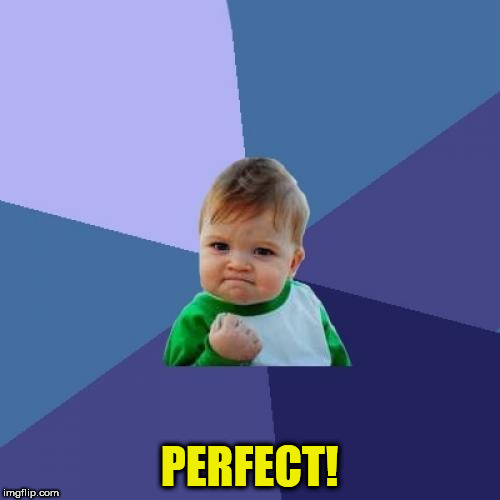 Success Kid Meme | PERFECT! | image tagged in memes,success kid | made w/ Imgflip meme maker