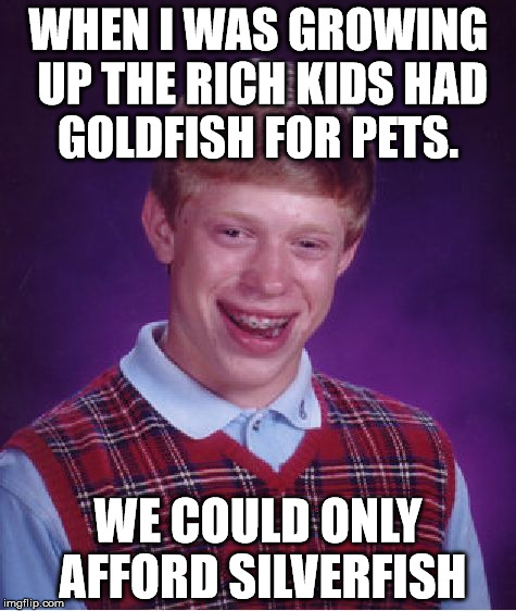 Bad Luck Brian | WHEN I WAS GROWING UP THE RICH KIDS HAD GOLDFISH FOR PETS. WE COULD ONLY AFFORD SILVERFISH | image tagged in memes,bad luck brian | made w/ Imgflip meme maker