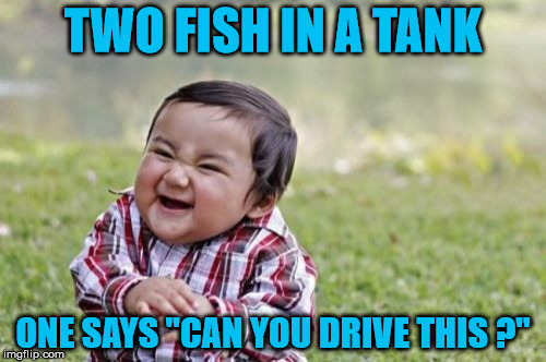 Evil Toddler Meme | TWO FISH IN A TANK; ONE SAYS "CAN YOU DRIVE THIS ?" | image tagged in memes,evil toddler | made w/ Imgflip meme maker