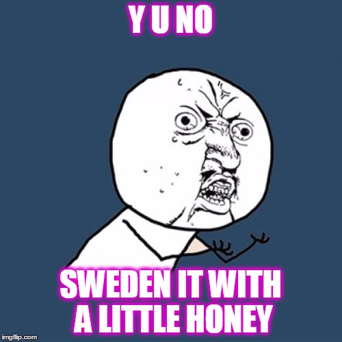 Y U No Meme | Y U NO SWEDEN IT WITH A LITTLE HONEY | image tagged in memes,y u no | made w/ Imgflip meme maker
