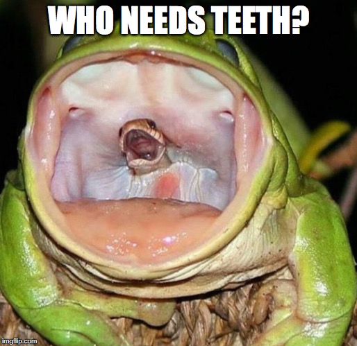 WHO NEEDS TEETH? | made w/ Imgflip meme maker