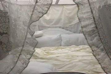 image tagged in gifs | made w/ Imgflip video-to-gif maker