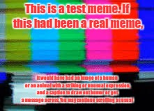 Test Meme | This is a test meme. If this had been a real meme, it would have had an image of a human or an animal with a striking or unusual expression, and a caption to draw out humor or get a message across. You may continue scrolling as usual | image tagged in memes | made w/ Imgflip meme maker