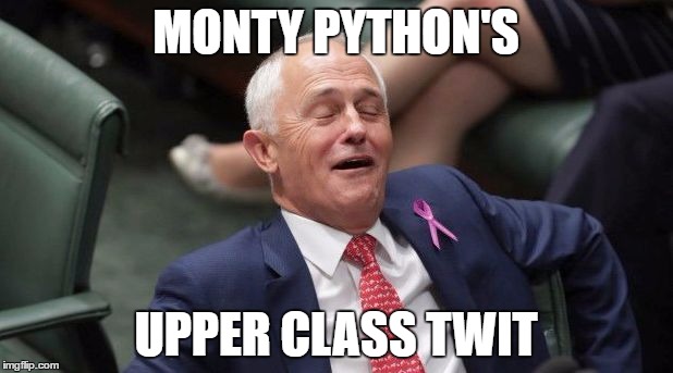 MONTY PYTHON'S; UPPER CLASS TWIT | image tagged in upper class turnbull twit | made w/ Imgflip meme maker