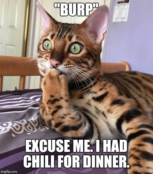 "BURP"; EXCUSE ME. I HAD CHILI FOR DINNER. | made w/ Imgflip meme maker