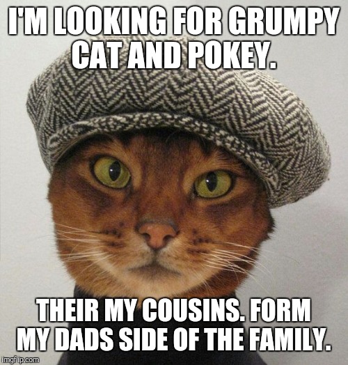 I'M LOOKING FOR GRUMPY CAT AND POKEY. THEIR MY COUSINS. FORM MY DADS SIDE OF THE FAMILY. | made w/ Imgflip meme maker