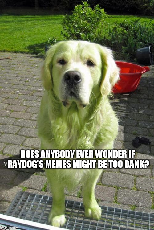 He's so dank he glows in the dark | DOES ANYBODY EVER WONDER IF RAYDOG'S MEMES MIGHT BE TOO DANK? | image tagged in memes,raydog,dank memes | made w/ Imgflip meme maker