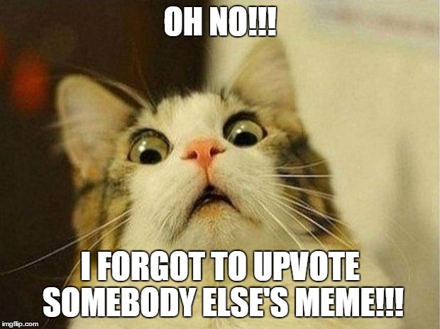 Scared Cat | OH NO!!! I FORGOT TO UPVOTE SOMEBODY ELSE'S MEME!!! | image tagged in memes,scared cat | made w/ Imgflip meme maker