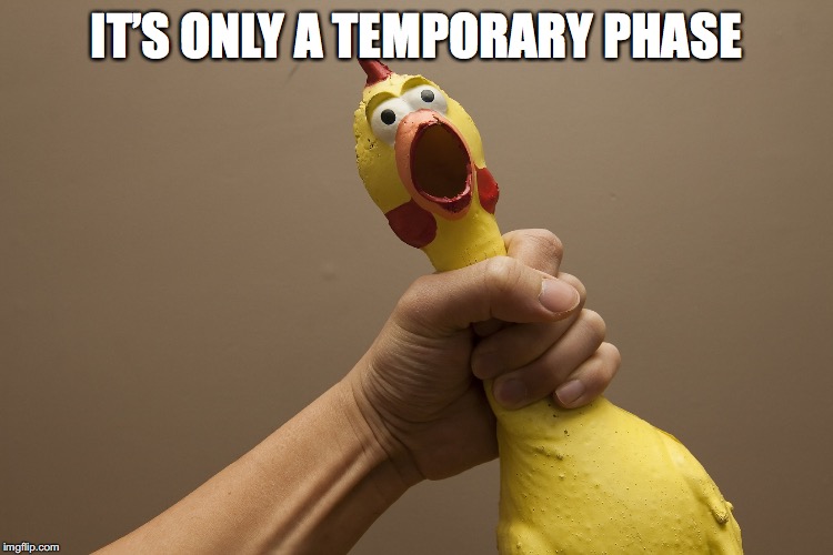 IT’S ONLY A TEMPORARY PHASE | made w/ Imgflip meme maker