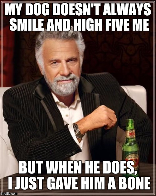 T-bone | MY DOG DOESN'T ALWAYS SMILE AND HIGH FIVE ME; BUT WHEN HE DOES, I JUST GAVE HIM A BONE | image tagged in memes,the most interesting man in the world | made w/ Imgflip meme maker