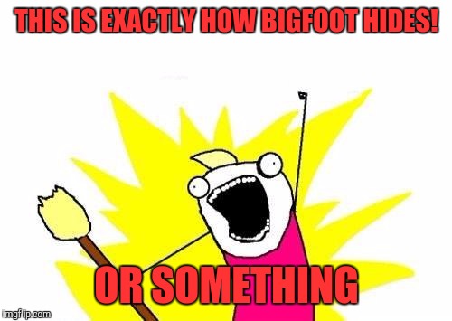 X All The Y Meme | THIS IS EXACTLY HOW BIGFOOT HIDES! OR SOMETHING | image tagged in memes,x all the y | made w/ Imgflip meme maker