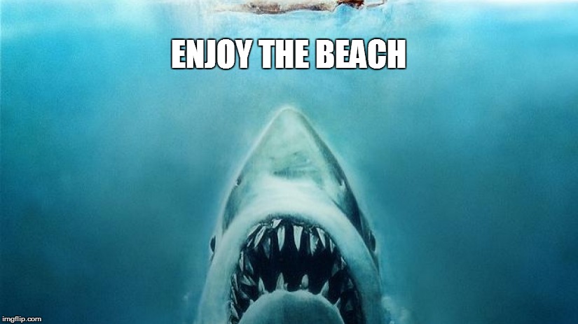 enjoy the beach | ENJOY THE BEACH | image tagged in jaws,beach,sharks | made w/ Imgflip meme maker