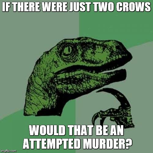 Philosoraptor Meme | IF THERE WERE JUST TWO CROWS WOULD THAT BE AN ATTEMPTED MURDER? | image tagged in memes,philosoraptor | made w/ Imgflip meme maker