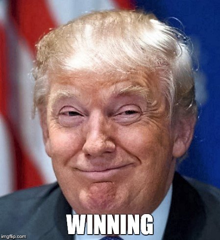 WINNING | image tagged in donald trump | made w/ Imgflip meme maker