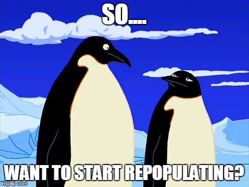 Futurama | SO.... WANT TO START REPOPULATING? | image tagged in futurama | made w/ Imgflip meme maker