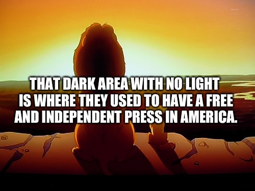Lion King Meme | THAT DARK AREA WITH NO LIGHT IS WHERE THEY USED TO HAVE A FREE AND INDEPENDENT PRESS IN AMERICA. | image tagged in memes,lion king | made w/ Imgflip meme maker