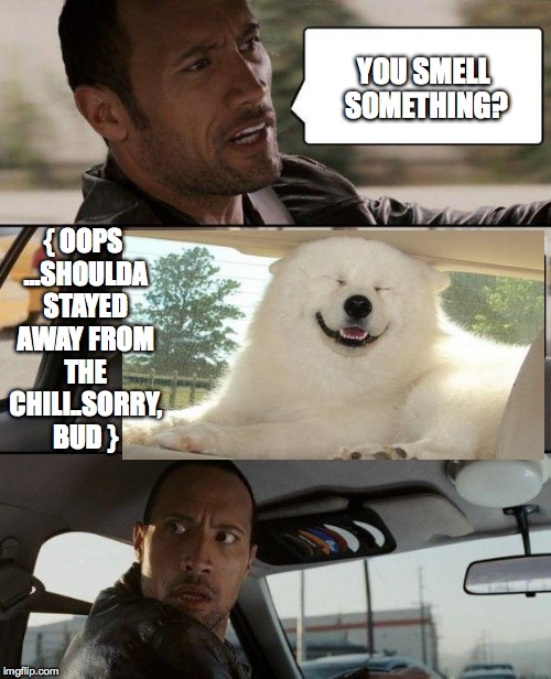 Bad Smell Dog | YOU SMELL SOMETHING? { OOPS ...SHOULDA STAYED AWAY FROM THE CHILI..SORRY, BUD } | image tagged in memes,the rock driving | made w/ Imgflip meme maker