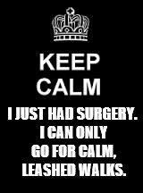 Keep calm blank | I JUST HAD SURGERY. I CAN ONLY GO FOR CALM, LEASHED WALKS. | image tagged in keep calm blank | made w/ Imgflip meme maker