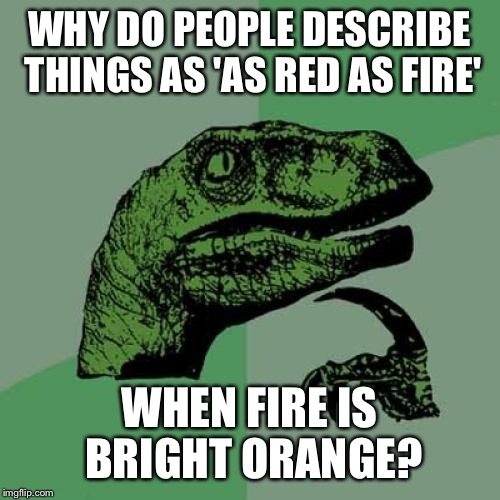 Philosoraptor | WHY DO PEOPLE DESCRIBE THINGS AS 'AS RED AS FIRE'; WHEN FIRE IS BRIGHT ORANGE? | image tagged in memes,philosoraptor | made w/ Imgflip meme maker