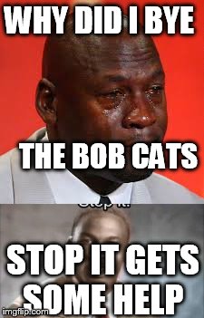 Booo | WHY DID I BYE; THE BOB CATS; STOP IT GETS SOME HELP | image tagged in dank memes | made w/ Imgflip meme maker